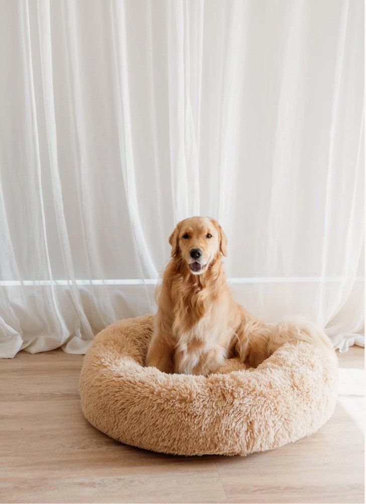 13 Luxury Dog Beds in Australia for Pampered Pooches