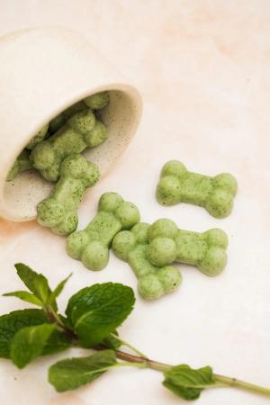 Homemade Breath Mints for Dogs