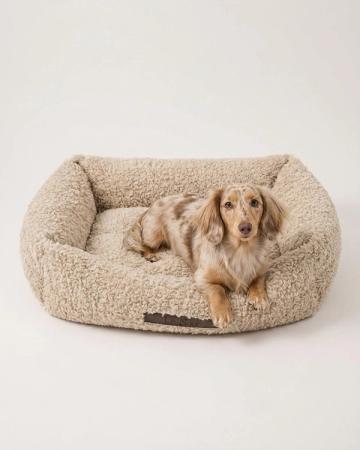 Best Luxury Dog Beds