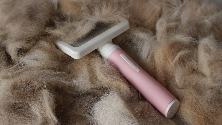 9 Best Pet Hair Remover Tools