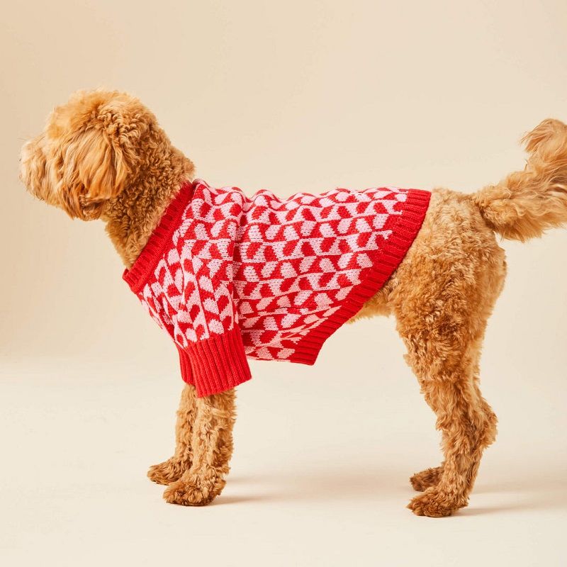 Top Dog Sweater Trends for Your Fashion-Forward Pooch