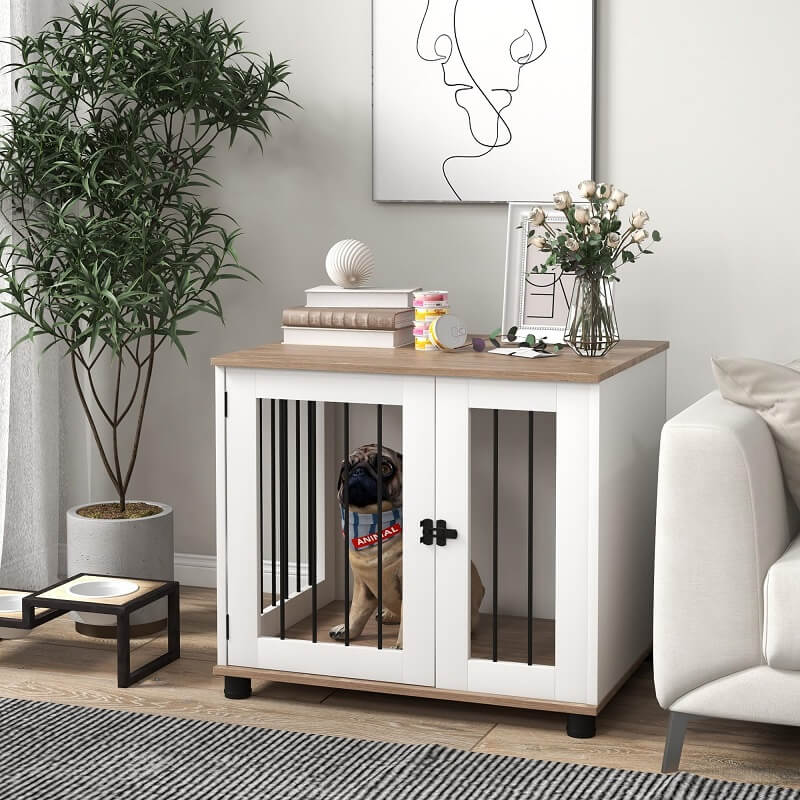 Best Dog Crates: A Practical Guide to Choosing the Right Fit