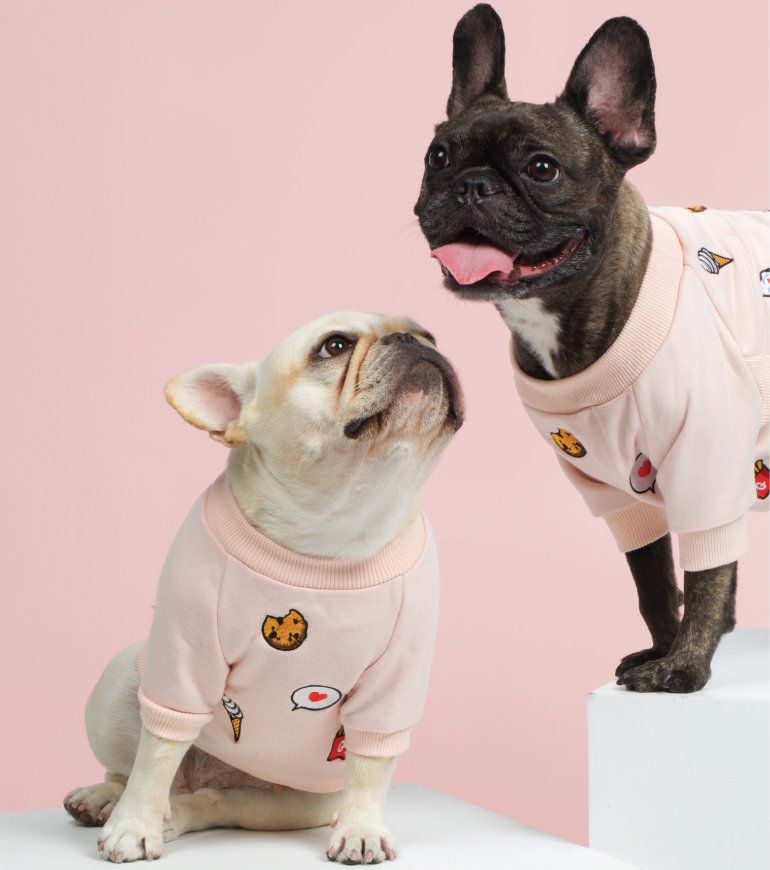 16 Valentine's Day Gifts For Dog Lovers