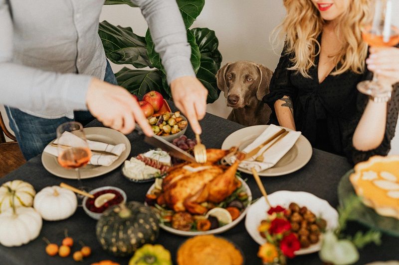 Trends: Thanksgiving for Dogs