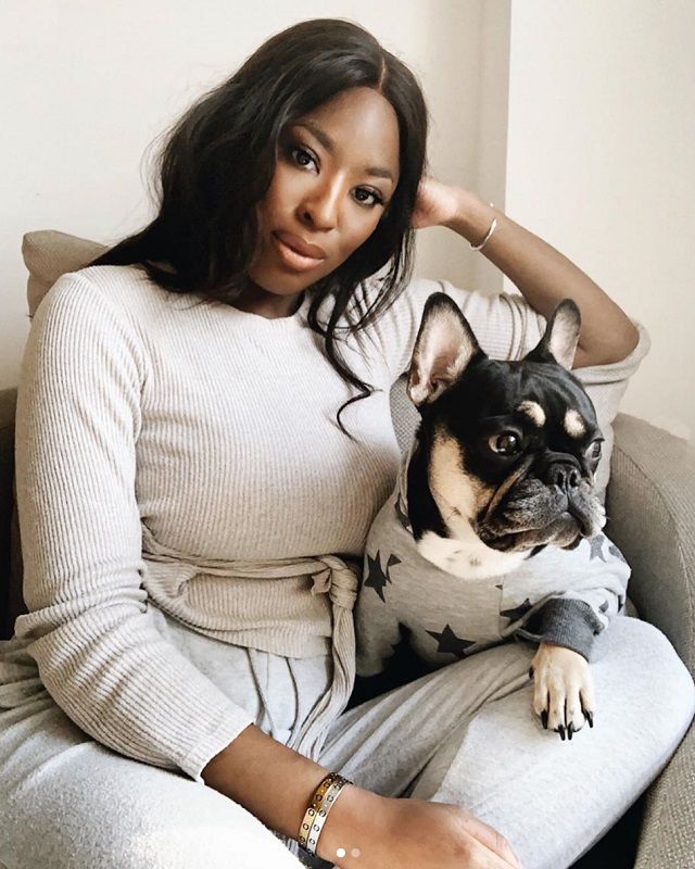 12 Black-Owned Pet Brands You Can Support Today
