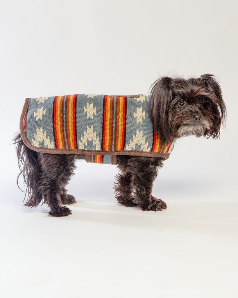 The 20 Best Dog Coats for Winter - Your Ultimate Guide