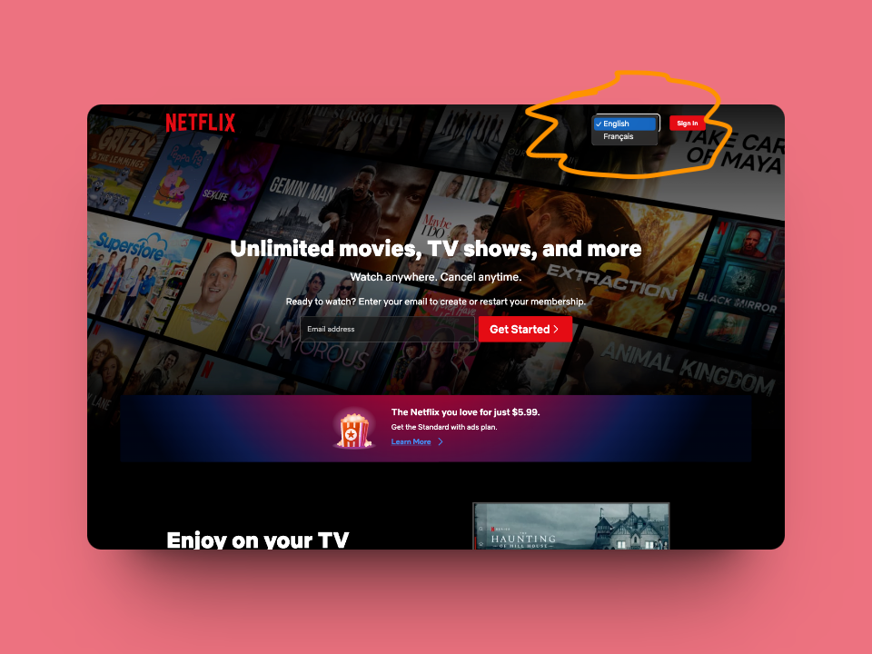 Netflix - Multilanguage websites 