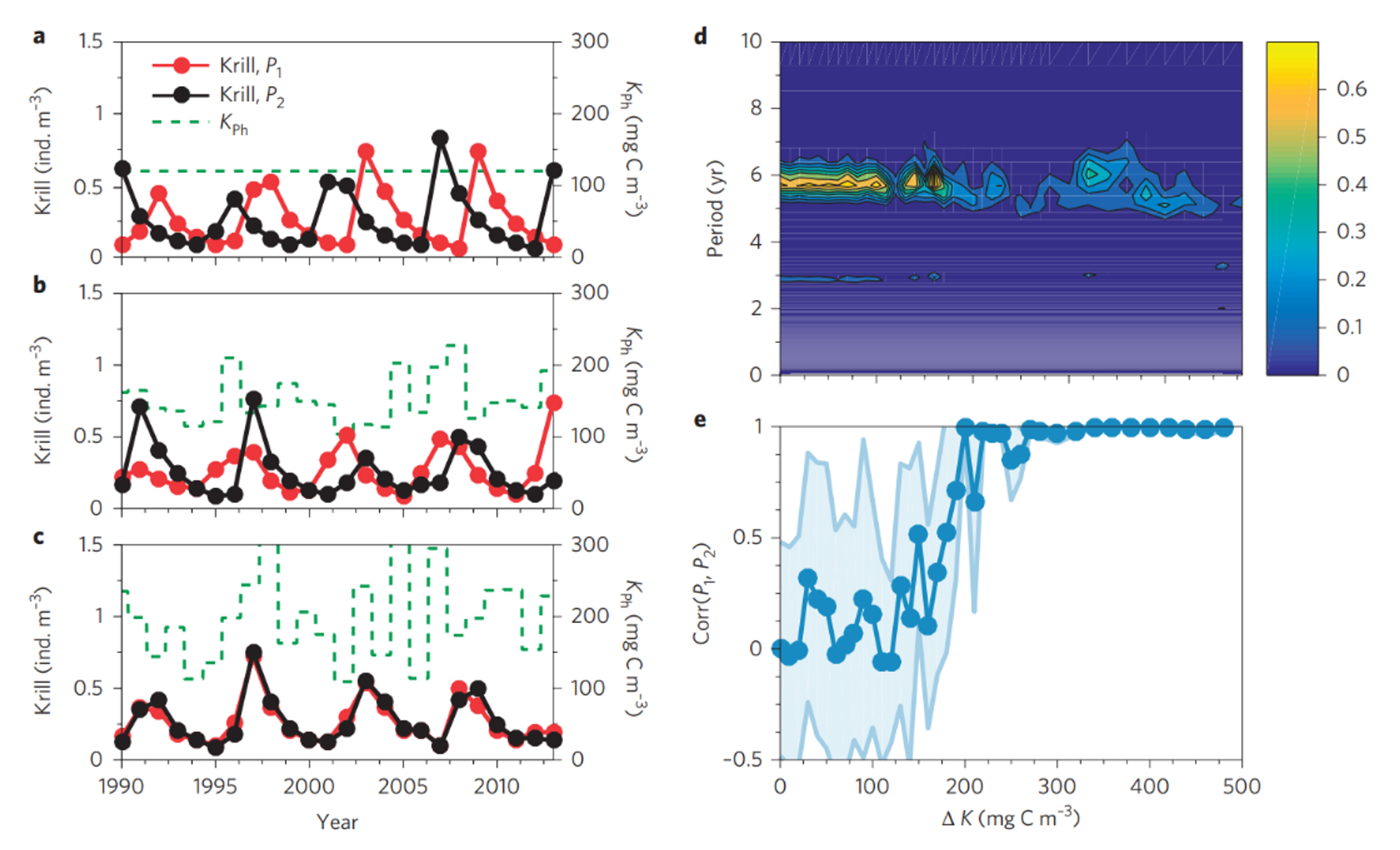 This figure shows how changes in algae (phytoplankton) availability affect krill population cycles and whether different krill populations move in sync with each other. The researchers simulated two separate krill populations (P1 in red, P2 in black) and tested what happens when both experience the same environmental changes. The green dotted lines show algae levels (KPh), and ΔK measures how much the algae availability varies.