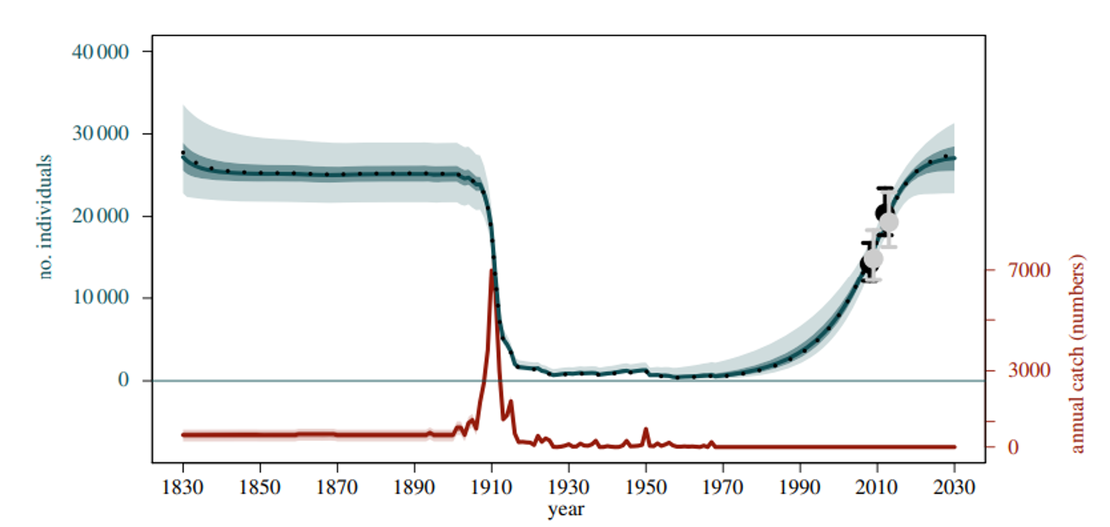 This graph tracks western South Atlantic humpback whales from 1830 to 2030. The population declined from 27,000 whales in 1830 to fewer than 500 by the 1950s due to intensive whaling. After whaling ceased in the 1970s, the population recovered dramatically to nearly 25,000 whales by 2019, with projections showing full recovery by 2030.