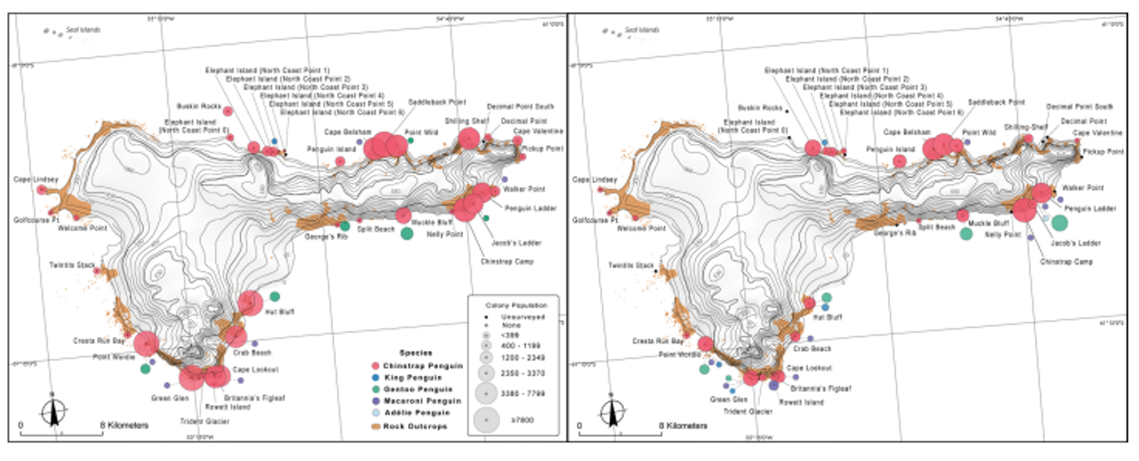Maps comparing Elephant Island penguin survey sites from 1970-71 (left) and 2019-20 (right) showing that chinstrap penguin numbers have declined over 50 years, gentoo penguin populations have increased, and macaroni penguin colonies have remained relatively stable, with small populations of Adélie and king penguins also present. Maps created using ArcMap version 10.6.1 and Adobe Illustrator 2020 version 24.2.1.