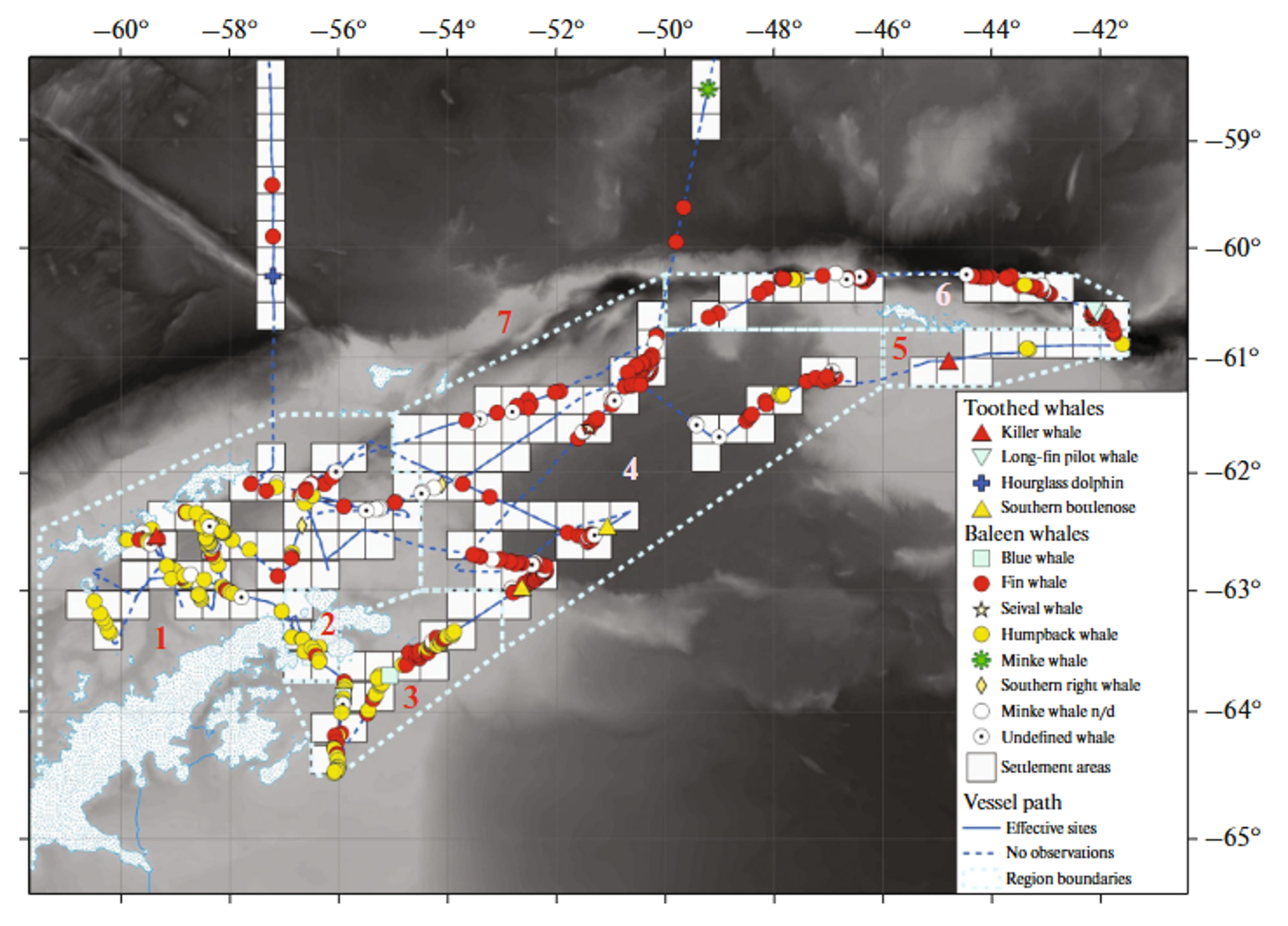 Map showing whale and dolphin observation areas and sighting locations in the Atlantic sector of Antarctica during January-February 2022: (1) Bransfield Strait; (2) Antarctic Strait; (3) Weddell Sea; (4) Powell Basin; (5) Orkney Shelf; (6) Orkney Trench; (7) Scotia Sea.