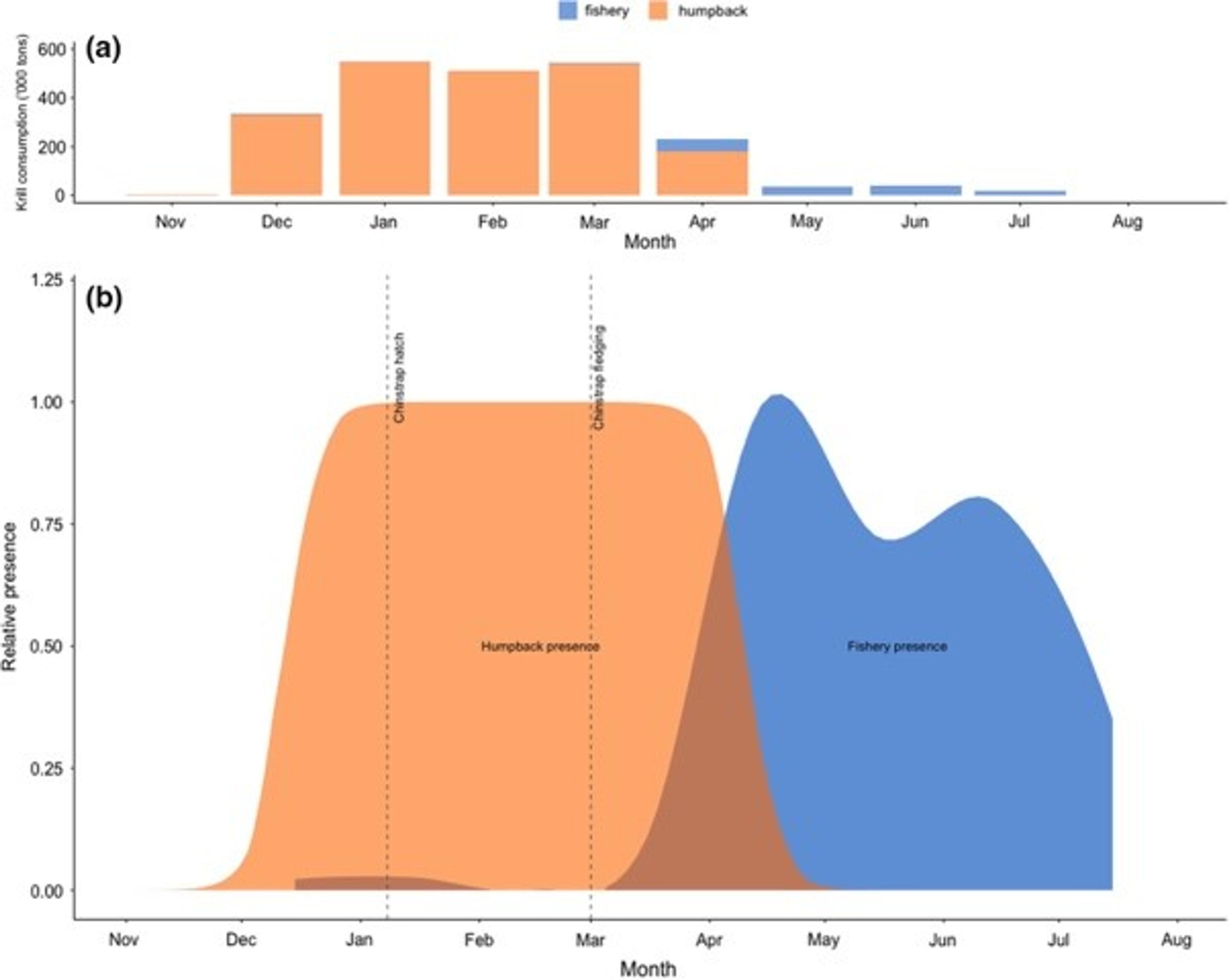 This figure shows the timing of humpback whale presence versus krill fishing activity in the Western Antarctic Peninsula. The data reveals clear temporal separation between whale and fishery activities. Humpback whales are most abundant December through March, with peak consumption in January-February. Krill fishing occurs primarily April through July. The minimal overlap during the study period (November-January) confirms limited direct competition for krill resources in early summer, though potential interactions could occur later when both activities may coincide. 