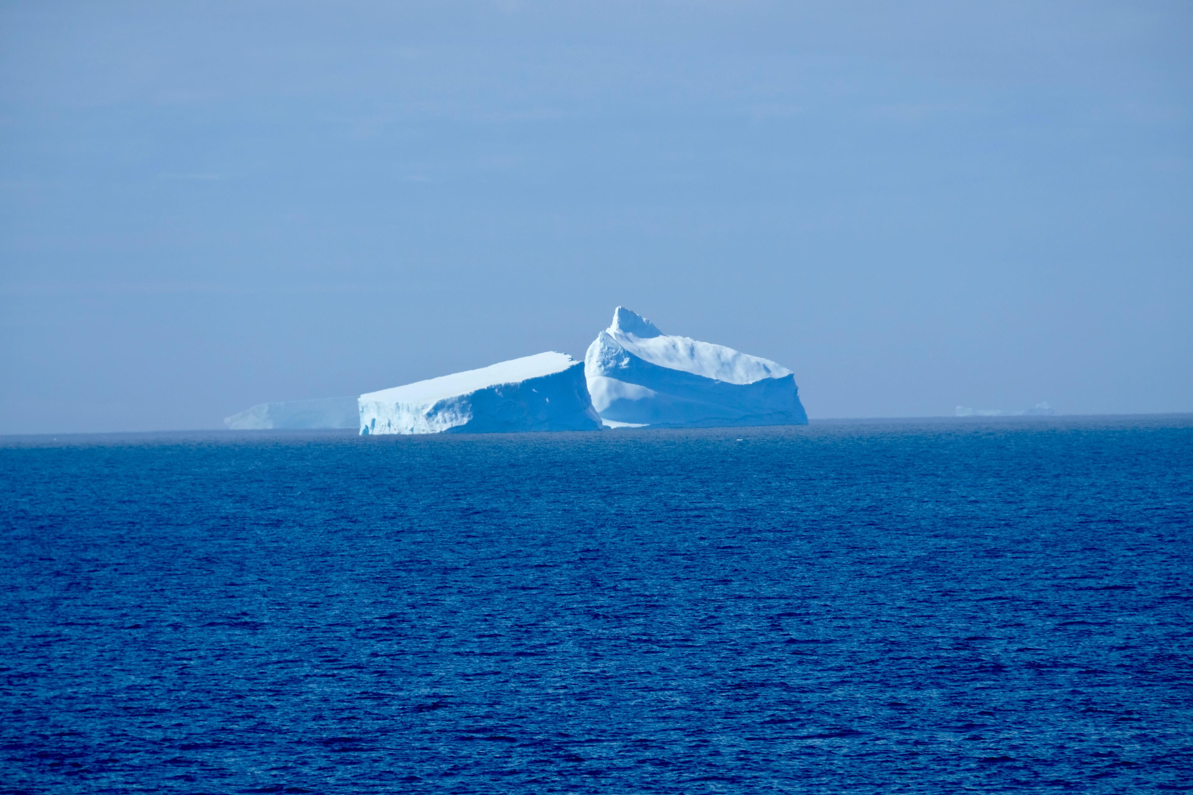A new dynamic distribution model for Antarctic krill reveals interactions with their environment, predators, and the commercial fishery in the south Scotia Sea region