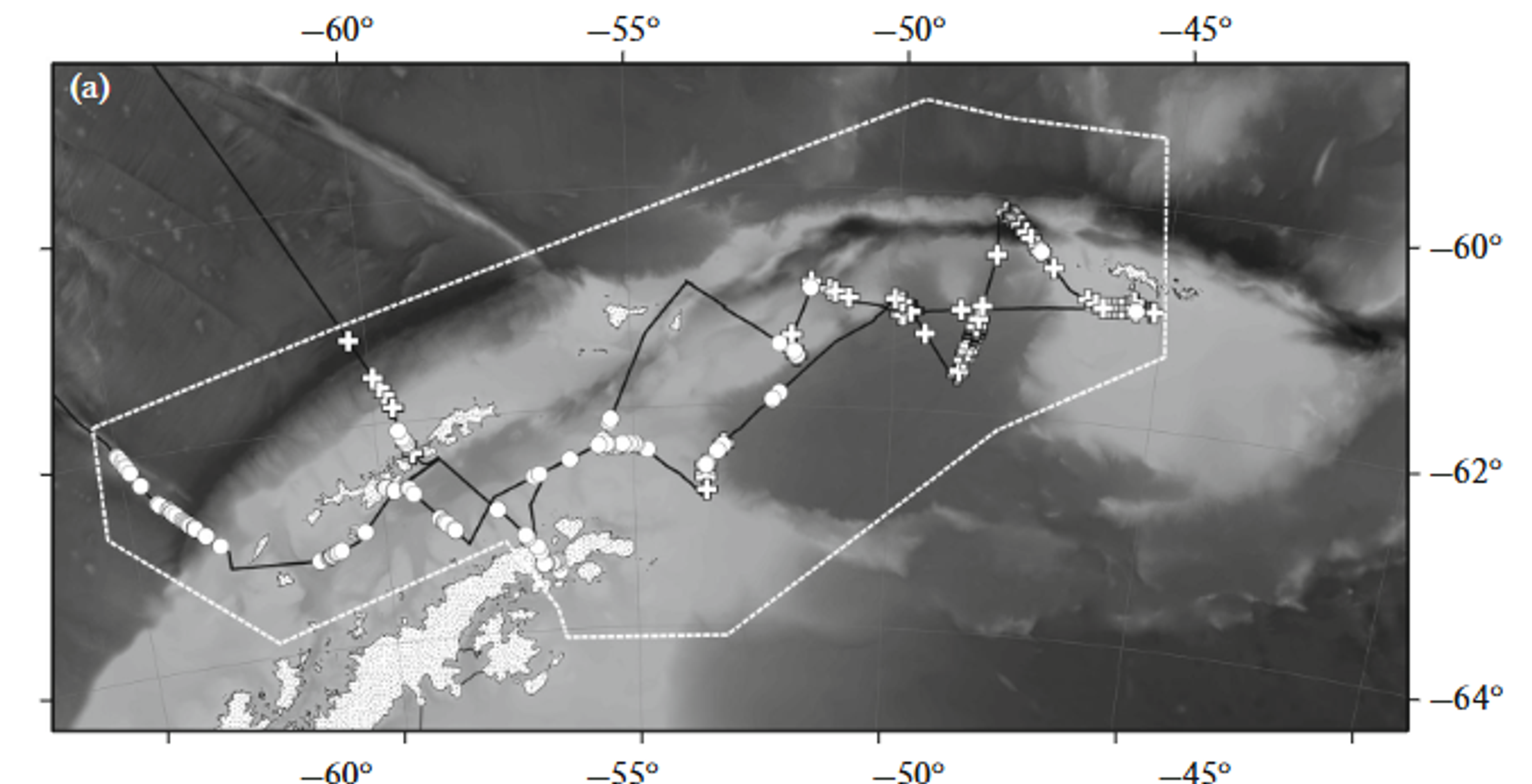 Map showing marine mammal sightings during January 2020 surveys around the Antarctic Peninsula. The map displays locations where researchers observed different species during visual surveys from the research vessel Akademik Mstislav Keldysh.