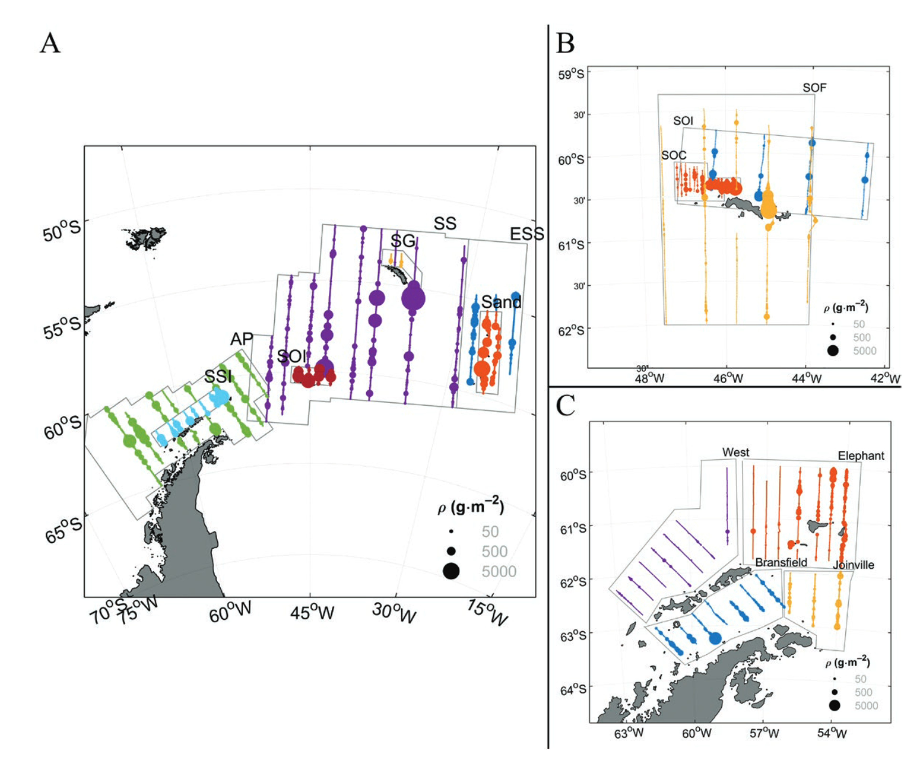 This figure shows the spatial distribution of Antarctic krill density across the Southwest Atlantic sector during the 2018-19 survey, with color-coded circles representing krill biomass measurements in 1 nautical mile bins. The highest densities (up to 5000 g m⁻²) were found on continental shelves north of the South Shetland Islands, around Elephant Island, and north of the South Orkney Islands, while lower densities occurred in offshore waters. The survey covered multiple CCAMLR subareas and strata, revealing significant spatial heterogeneity in krill distribution across the region.