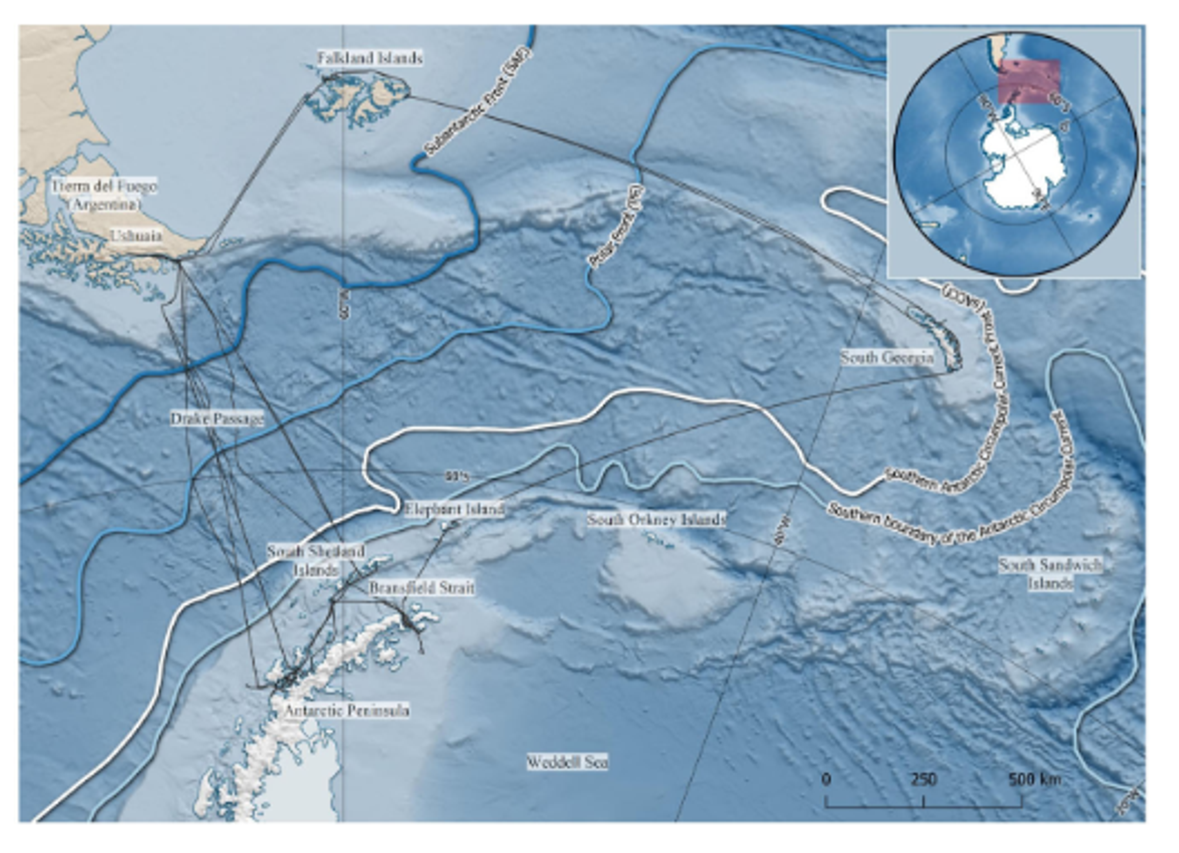 Map of the study area showing average positions of major ocean current boundaries and cruise ship survey routes marked as black lines. Map created using Quantarctica mapping software (Matsuoka et al., 2021) and associated datasets (Orsi et al., 1995; Amante & Eakins, 2009; NOAA National Geophysical Data Center, 2009; Arndt et al., 2013; Liu et al., 2015, SCAR Antarctic Digital Database) in QGIS mapping software (QGIS.org, 2019).