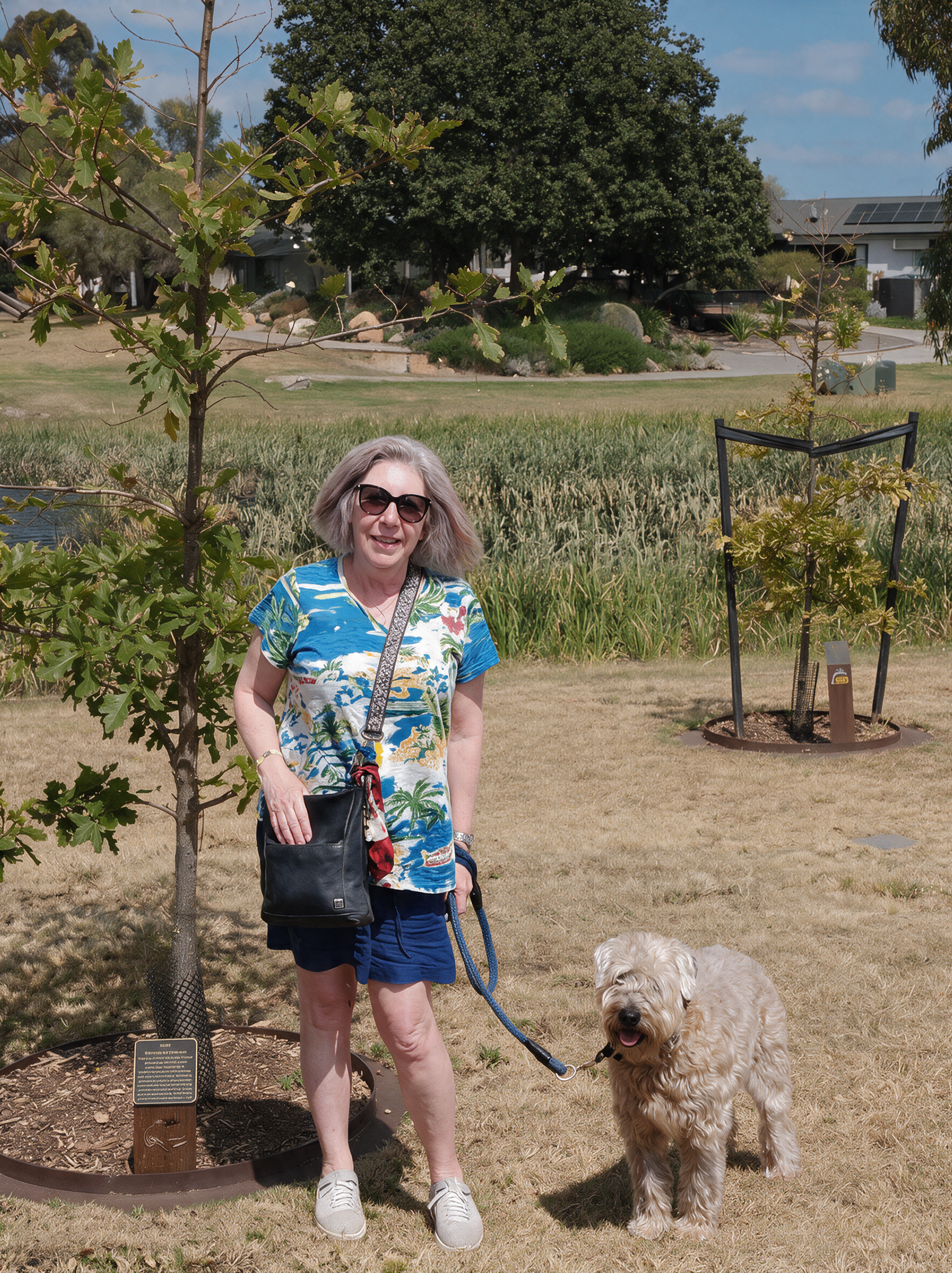 Woman standing in a grassy park walking her medium-sized fluffy dog on a leash