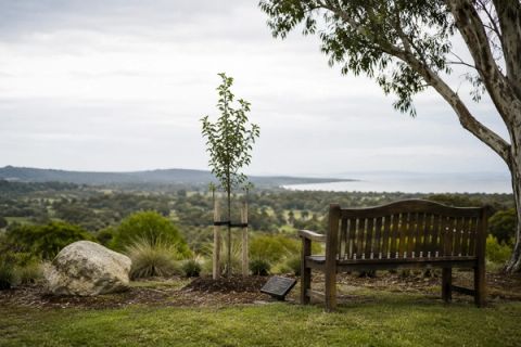 Affordable funeral planning in Melbourne that grows more beautiful