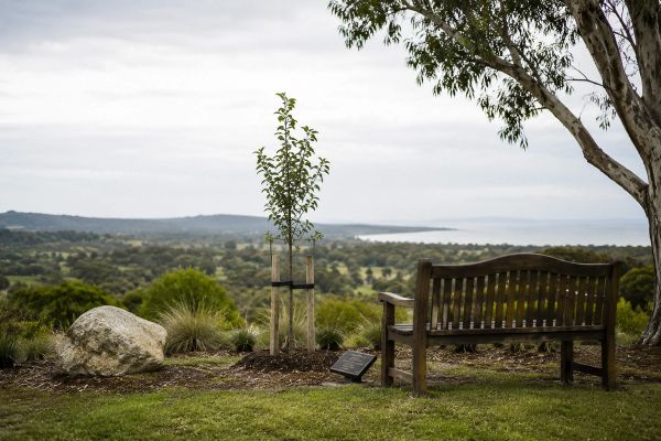 Affordable funeral planning in Melbourne that grows more beautiful