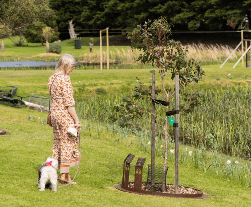 A Woman Planted Her Pet Memorial Living Legacy Tree at Mornington Green Legacy Gardens.