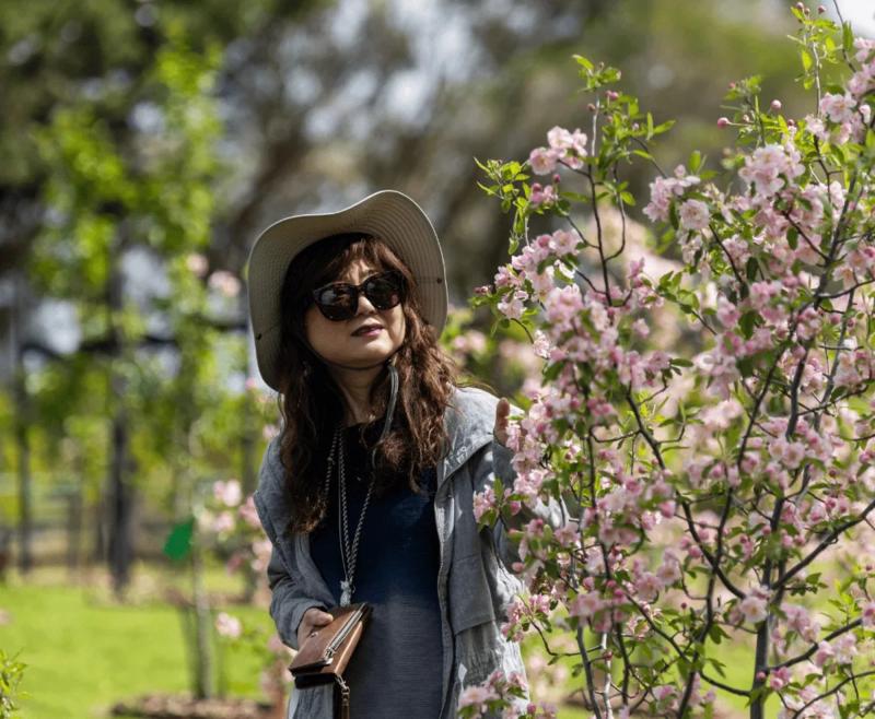 The Best Tree Pod Burial Australia Alternative, at Mornington Green Where You Can Tour the Gardens at Melbourne.