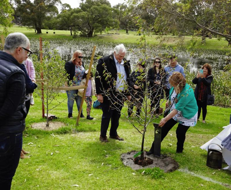 Example of Tree Pod Burial Planting in Australia Through Its Alternative Living Legacy by Amanda Settineri for Her Son Matthew.