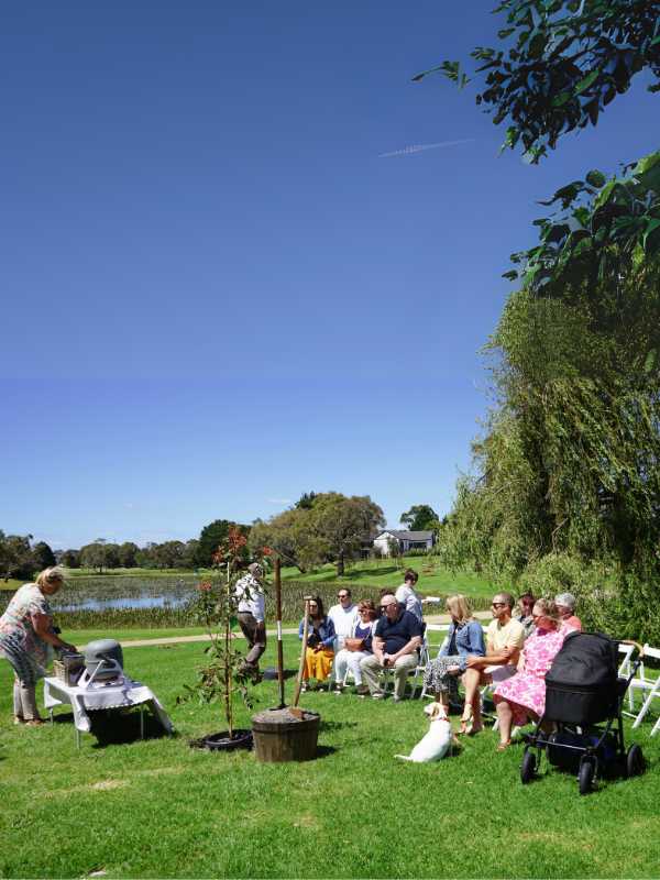 Testimonial photo from Gayle Langley