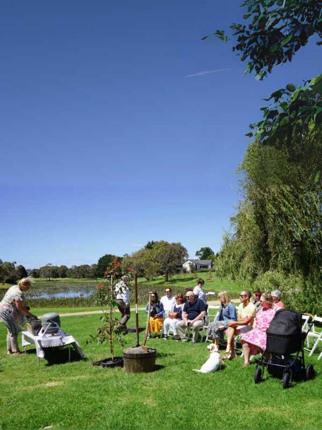 Testimonial photo from Gayle Langley
