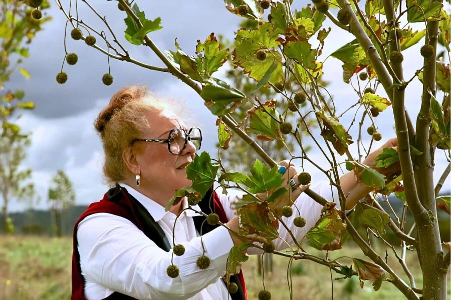 Australian Scientists in Melbourne Turn Human Cremated Ashes into Plant Food