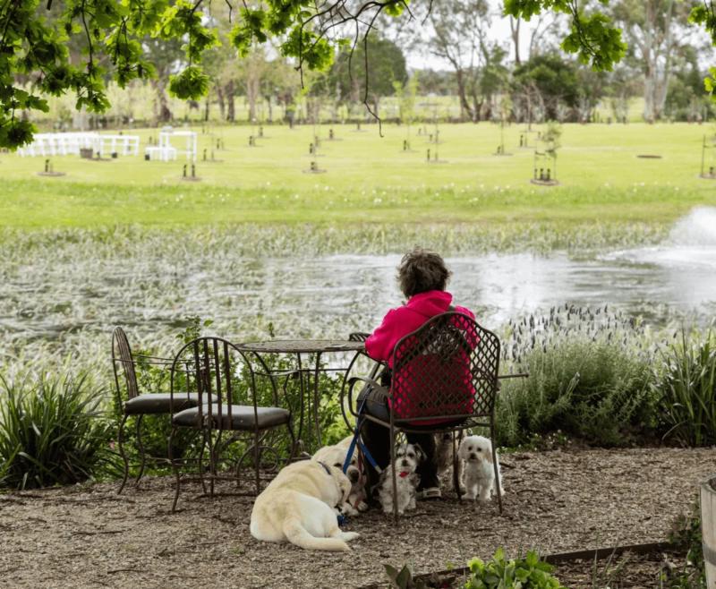 A Legacy Tree Planter Enjoying Her Dog Memorial Garden at Mornington Green Legacy Gardens.