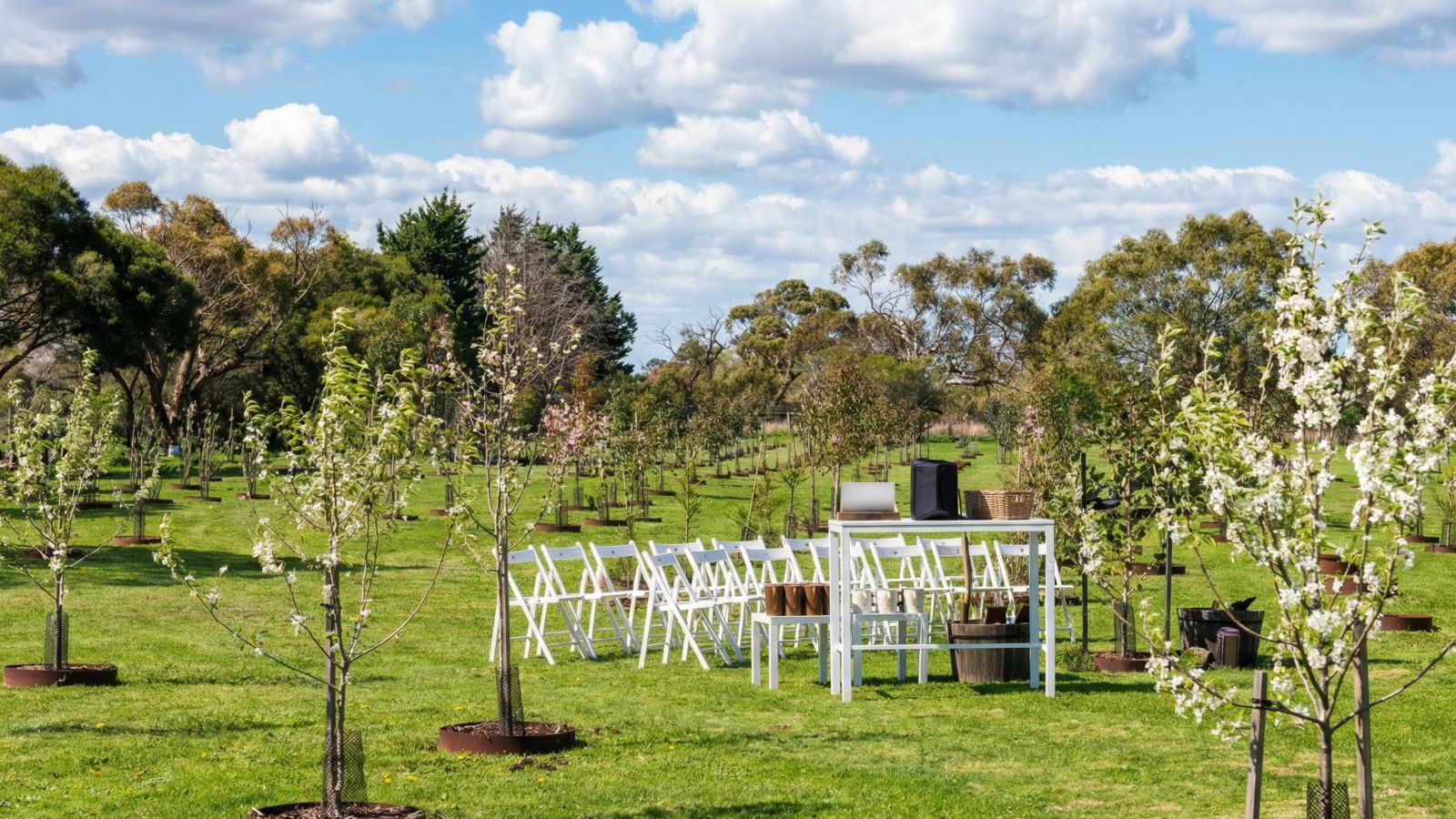 Memorial service and celebration of life in a garden setting