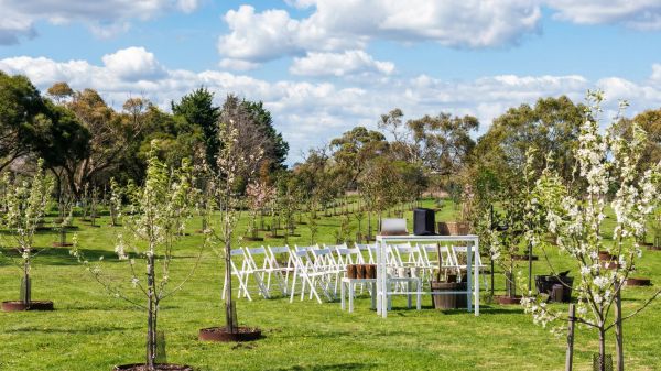 Memorial service and celebration of life in a garden setting