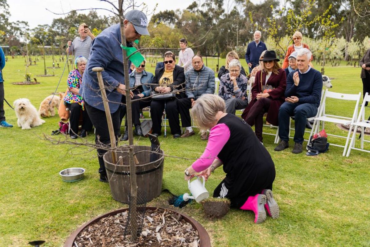 Family gathered for a Living Legacy Tree ceremony at Mornington Green near Melbourne
