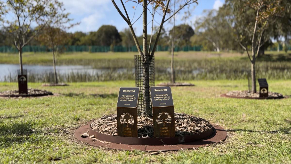 memorial plaque for tree shared