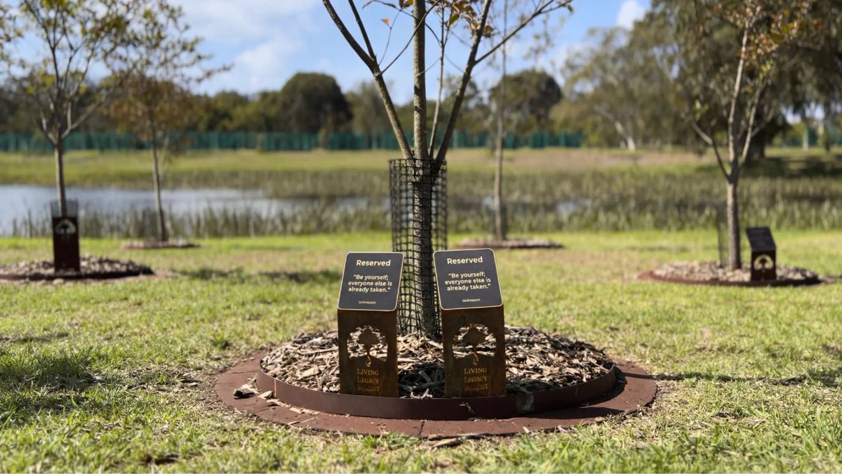 memorial plaque for tree shared