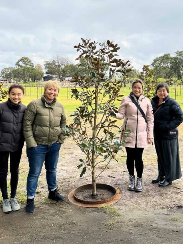 DL Pre-Planted A Living Legacy Family Tree