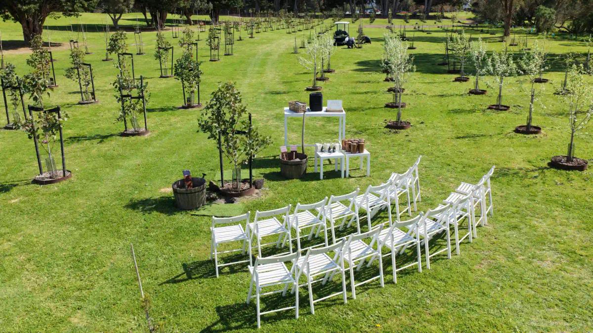 living legacy with ceremony