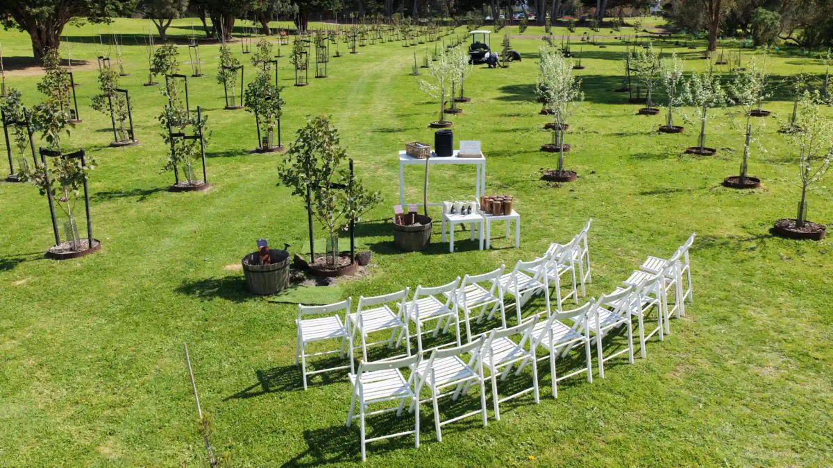 living legacy with ceremony
