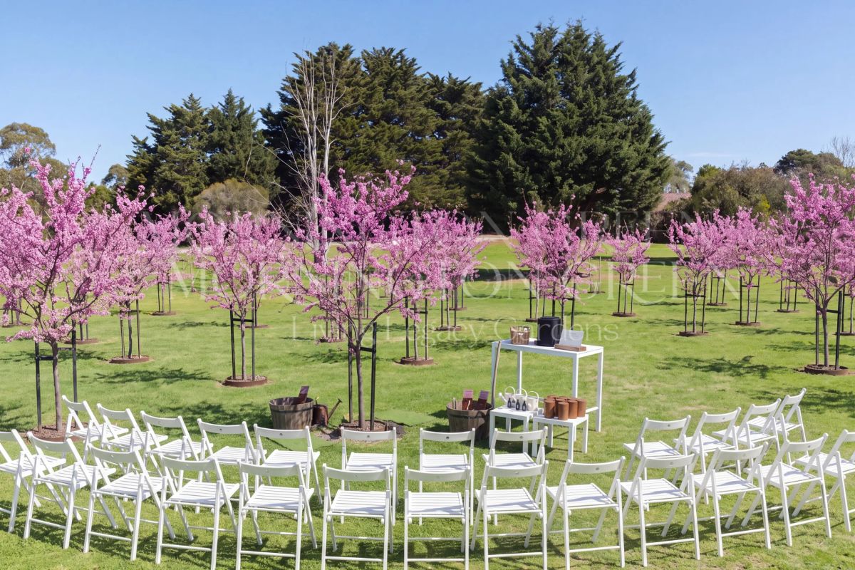 Celebration of life ceremony in a memorial garden