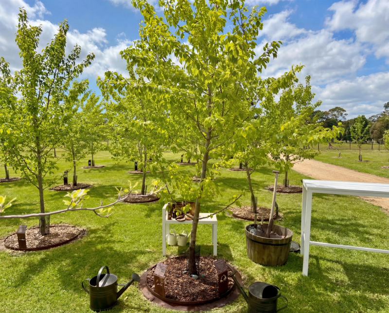 living legacy tree process with ceremony