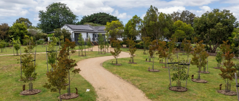 landscape of magnolia house mornington 