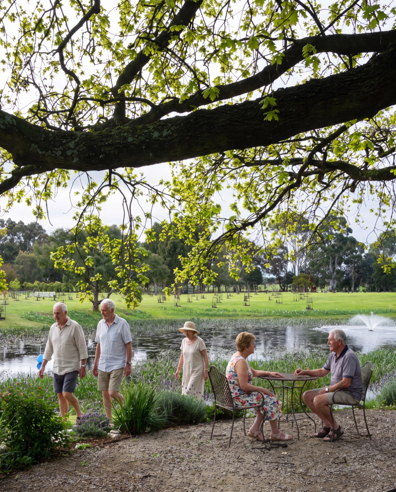 old people enjoy their time in living legacy garden at mornington green