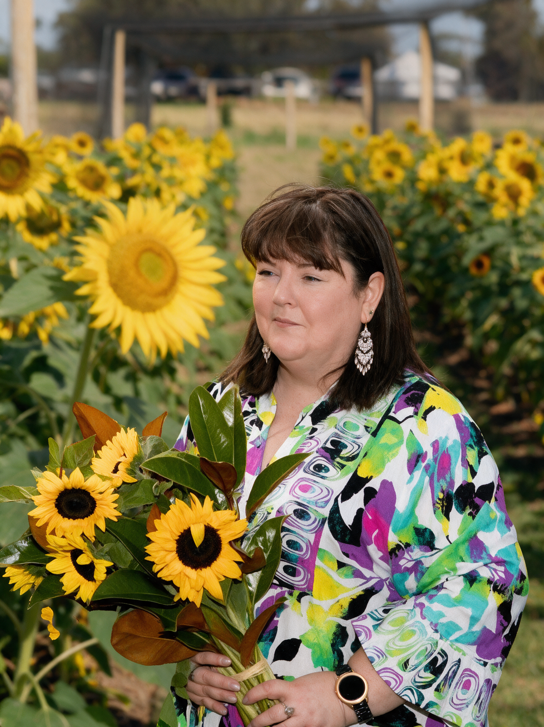 Woman holding a bouquet of fresh sunflowers in a blooming sunflower field