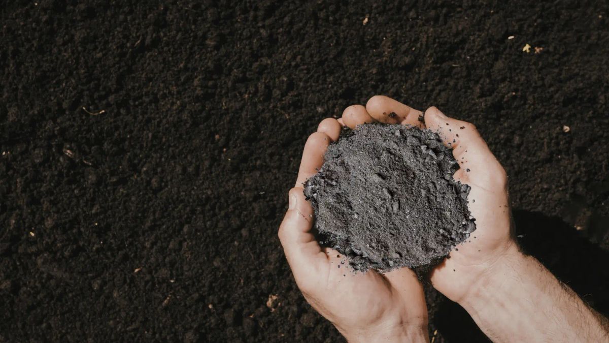 Hands holding cremation ashes over dark memorial garden soil