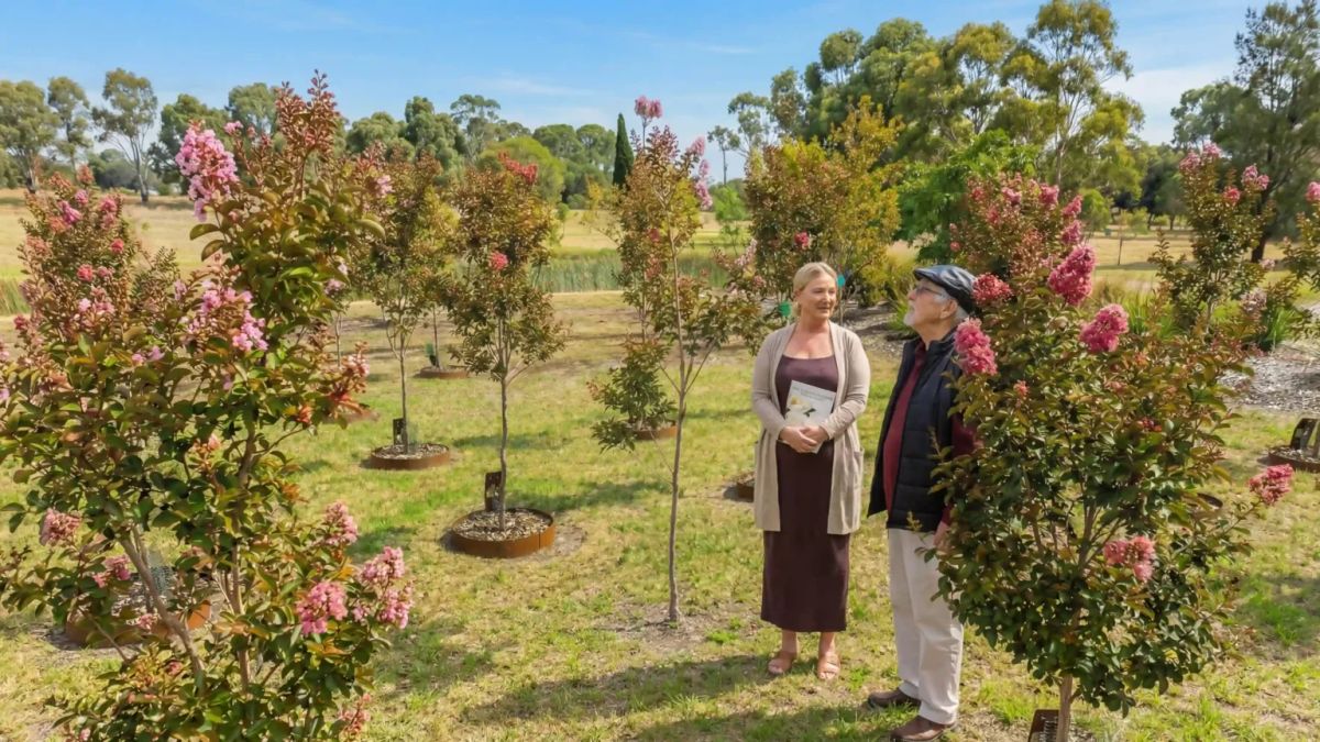 legacy planer showing memorial trees in Mornington Green Legacy Gardens