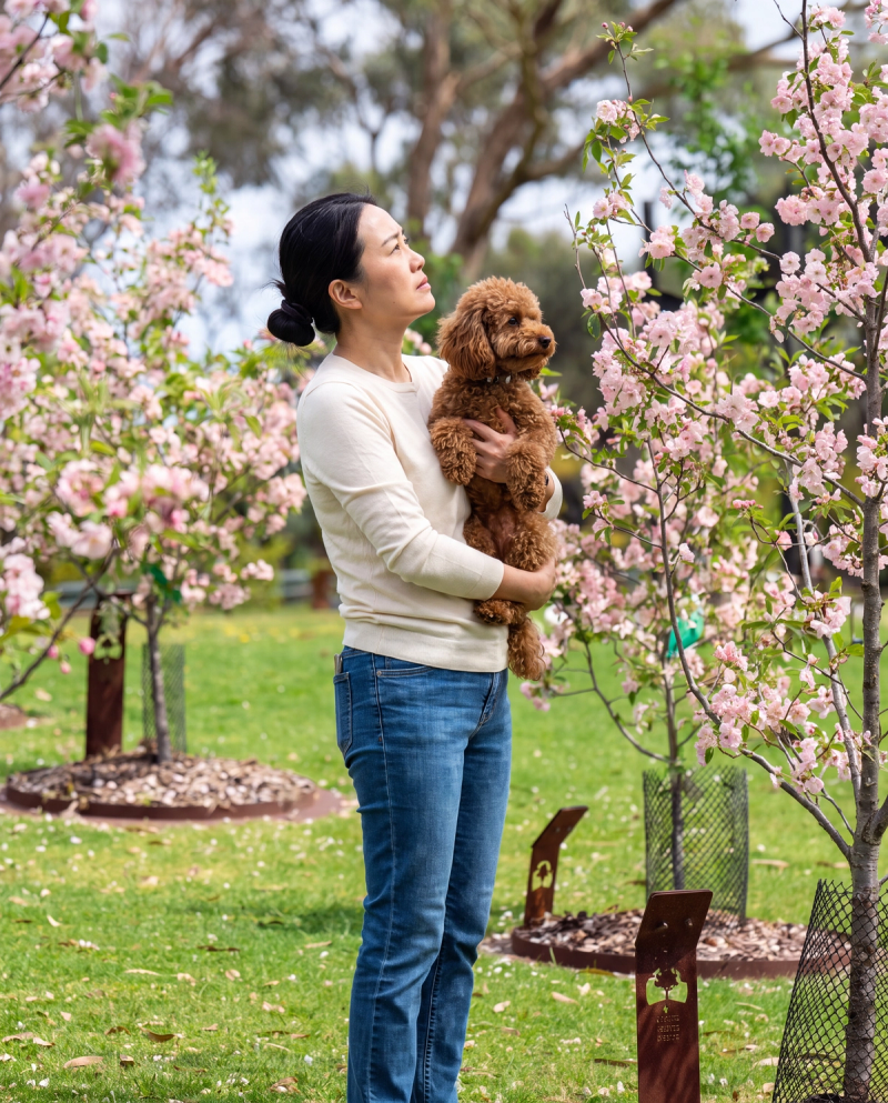 Dog Memorial Ideas in Melbourne: Plant a Living Legacy Tree at Mornington Green.