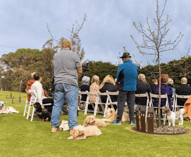 Mornington Green Photos: Pet Tree Planting Ceremony.