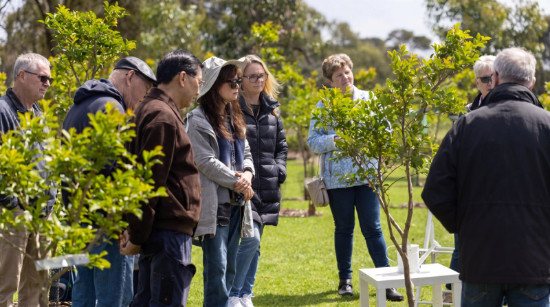 Visitors gathered among young trees at a memorial garden on a sunny day.