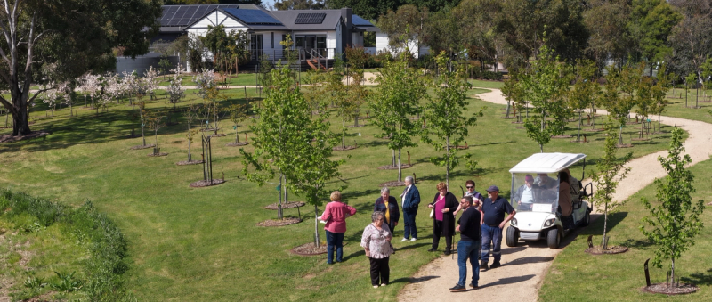 Visitors exploring Mornington Green Living Legacy Gardens during a guided golf cart tour.