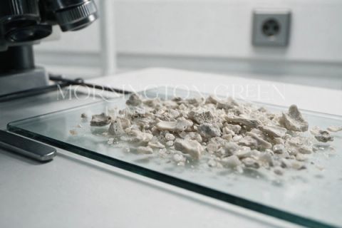 Cremated remains under a microscope